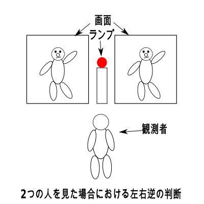 人を見た際の左右の反転の判断方法の実験 ゴマフ犬のアプリブログ